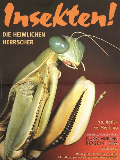 Plakat der Ausstellung Insekten Plakat der Ausstellung Insekten